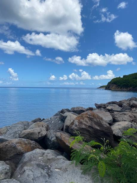 istock See view in Guadeloupe 1403984369