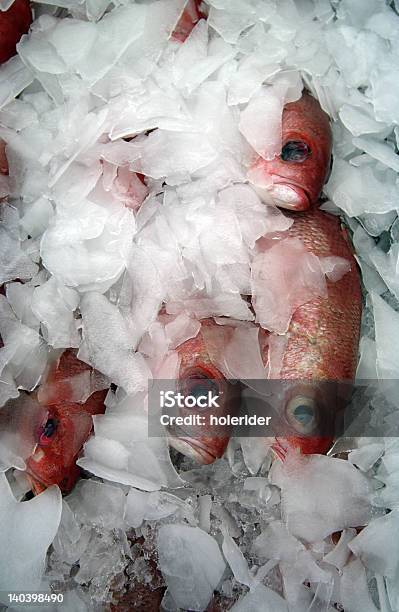 Kalte Fisch Augen Stockfoto und mehr Bilder von Anlegestelle - Anlegestelle, Ausverkauf, Eis