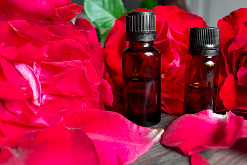 Next to the rose petals and the bud are two bottles of essential oil. Aromatic rose oil among the petals. Rose oil in dark bottles. Tea rose flowers.