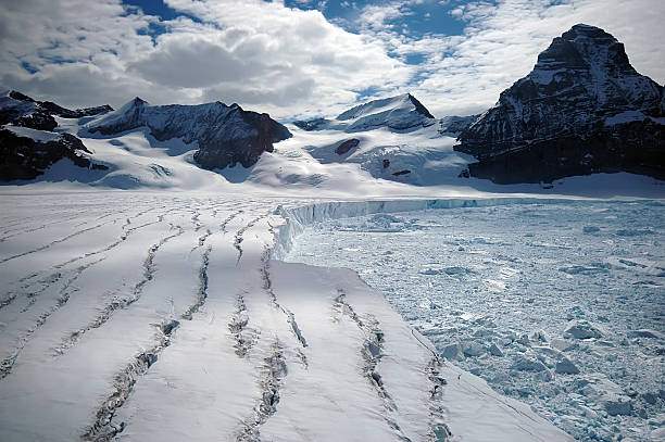 derreter glaciar de antártico - ice shelf imagens e fotografias de stock