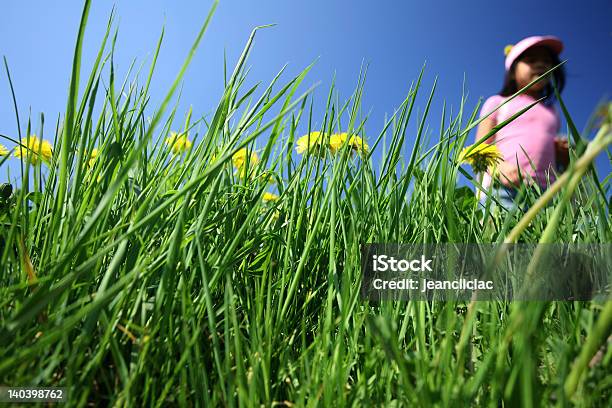 Foto de Zona Verde e mais fotos de stock de Agricultura - Agricultura, Alegria, Azul