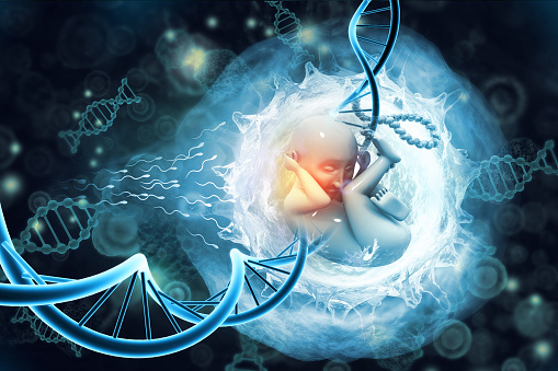 Human Fetus and Dna on scientific background. 3d illustration