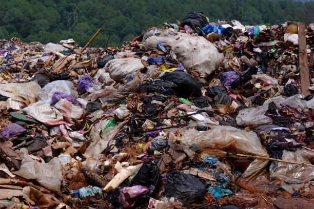 istock Garbage pile in trash dump or landfill. Pollution concept. 1403990937
