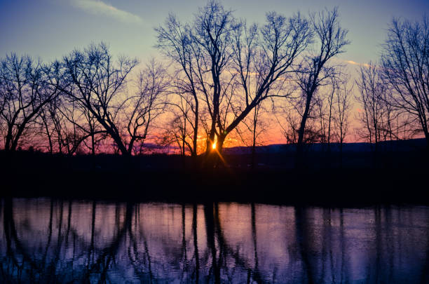 istock Sunset behind the trees in the photo 1403992824