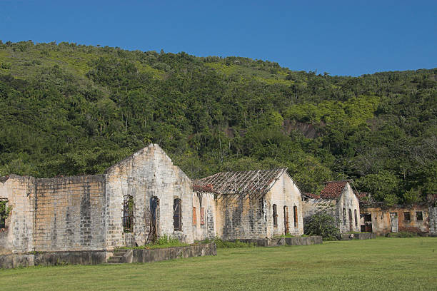 istock Research station ruins in the forrest 140399303