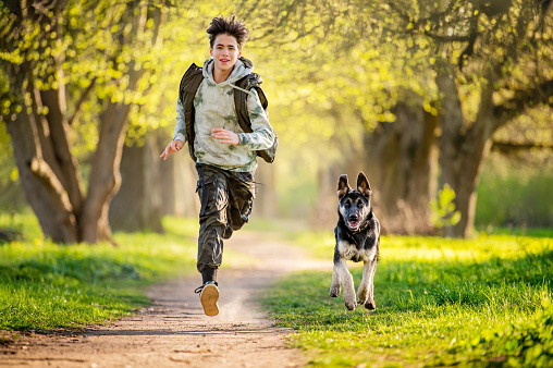 boy with a dog walk in the park on a sunny spring evening, run along the road. Friendship of man and animal, healthy lifestyle.