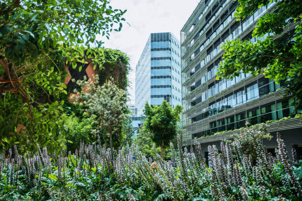 istock Buildings and trees in Barcelona 1403994271