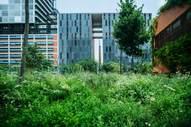 Under the building, there is a grassy slope with flower railings