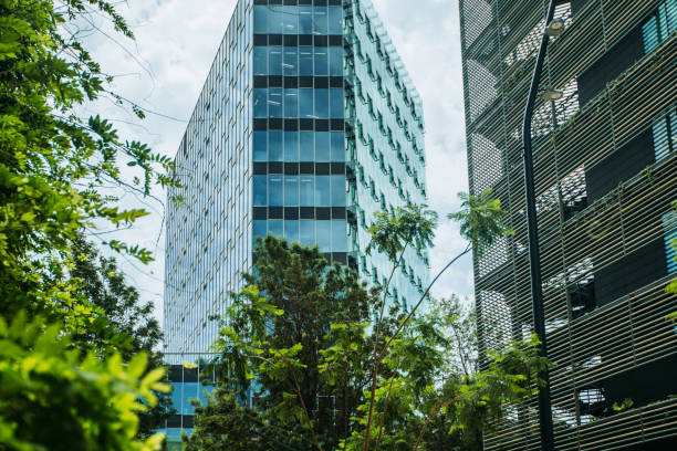 istock Buildings and trees in Barcelona 1403994383