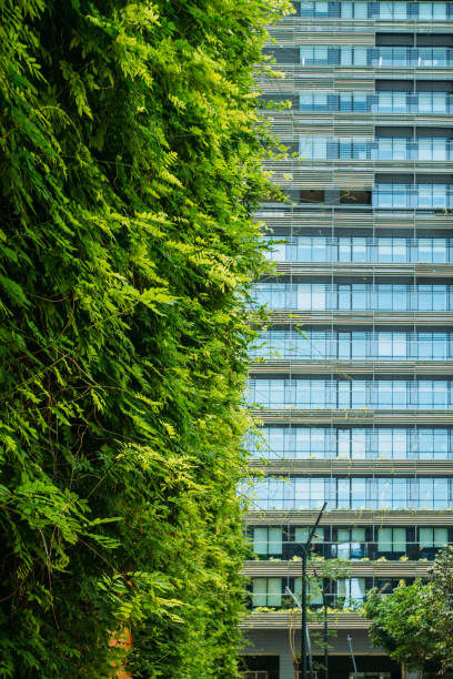 Buildings and trees in Barcelona