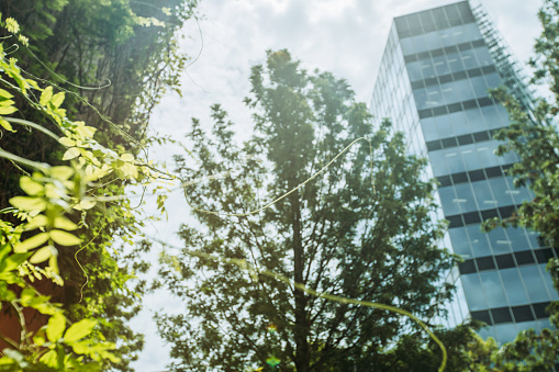 Sustainable glass office building with tree for reducing carbon dioxide. House with green environment  reduce CO2. Glass window modern architecture