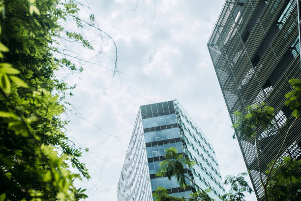 istock Buildings and trees in Barcelona 1403994424