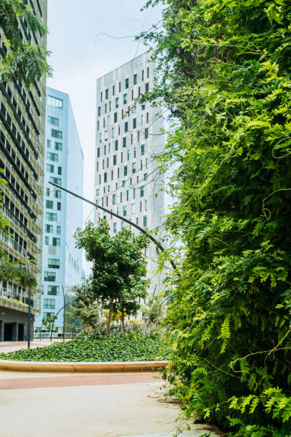 Buildings and trees in Barcelona