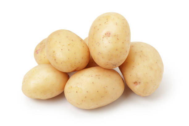 istock raw potato, carbohydrate, vegetable object design close up, freshness isolated on white background 1403994624