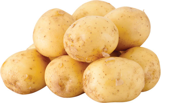istock raw potato, vegetable object design close up, freshness isolated on white background 1403994696