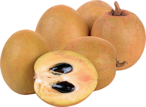 istock sapodilla fresh fruits 1403995180