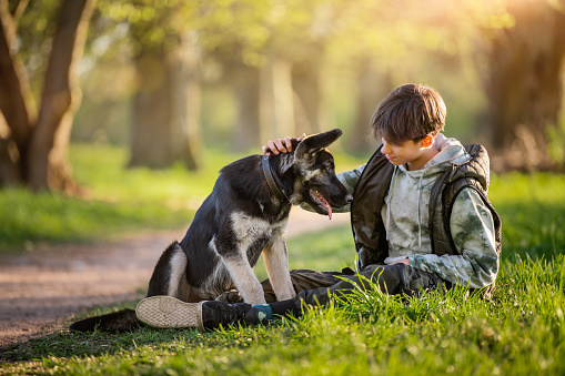 boy with a dog walk in the park on a sunny spring evening, sit on the grass. Friendship of man and animal, healthy lifestyle.