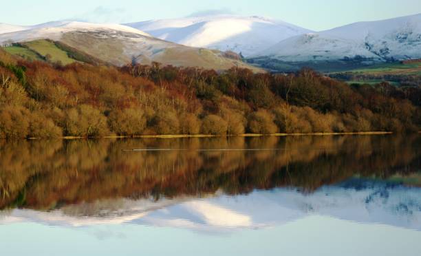 istock The forest that is reflected in the lake 1403996096