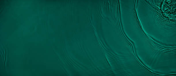 transparent dark green clear calm water surface texture banner