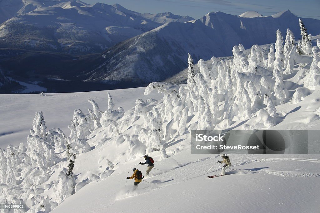 Helicopter Skiing - Photo de Activité libre de droits