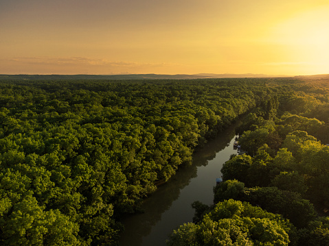 Aerial view of sunset over Kamchia river and forest