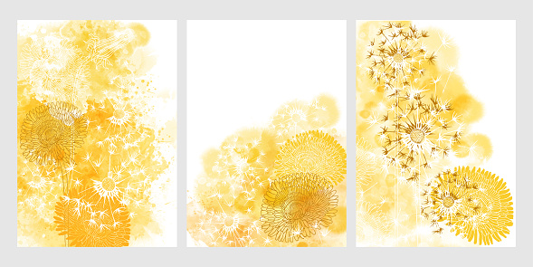 Art botanical background vector. Luxury design with dandelion flowers  and yellow watercolor splash. Template design for text, packaging and prints. Spring Theme. Three different versions