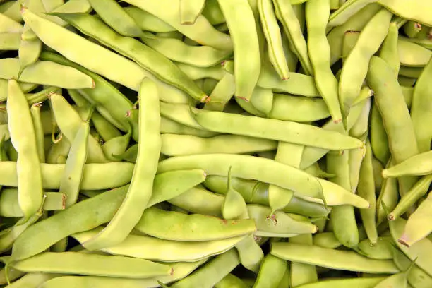 pods of green beans - food background