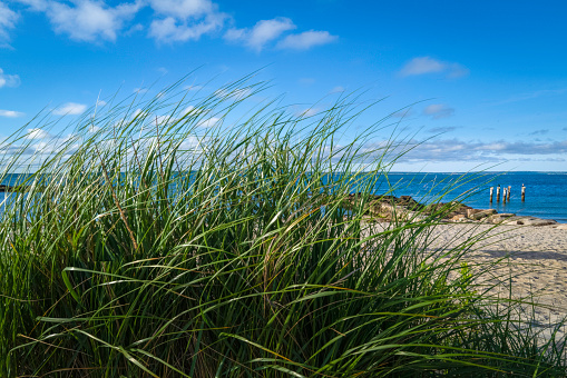 Summer seascape at the beach on Cape Cod in Massachusetts