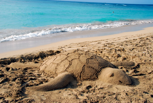 Sand sculpture of a sea turtle on a beach with tropical blue sea in background