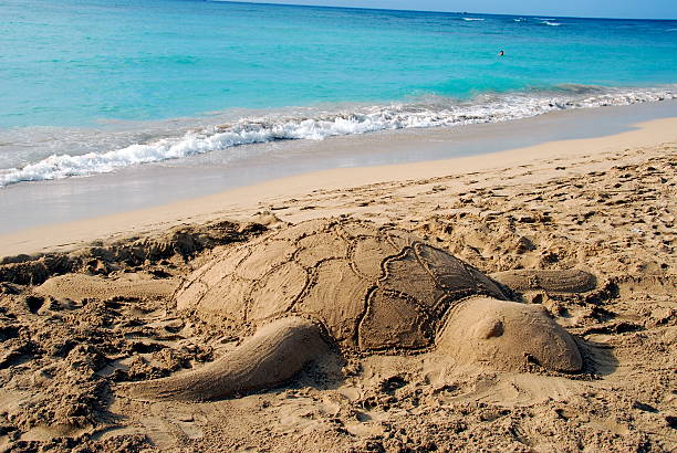 "Sand Turtle" in paradise stock photo