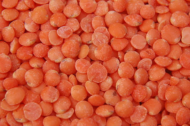 Canadian Orange Beans stock photo