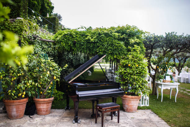 Black piano in the garden among the trees Black piano in the garden among the trees. piano wedding stock pictures, royalty-free photos & images