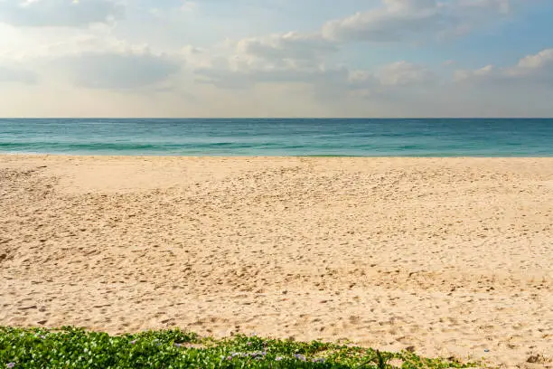 Photo of Ocean beach landscape, Sri Lanka,  Colombo, Mount Lavinia hotel.