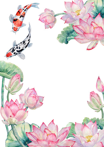 Watercolor frame with hand-painted elements of lotus flowers, lotus leaves, and koi fish on white background.