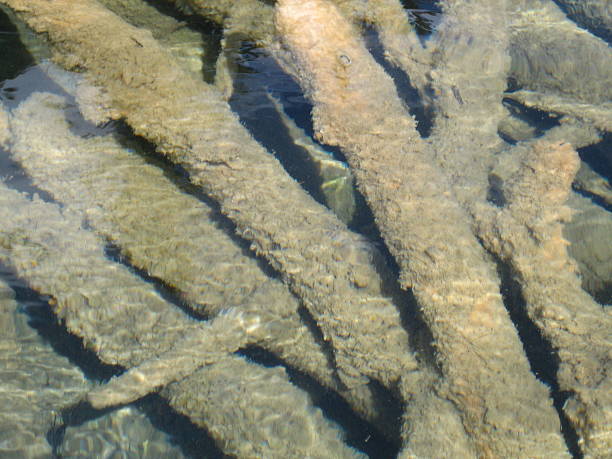 Submerged stock photo