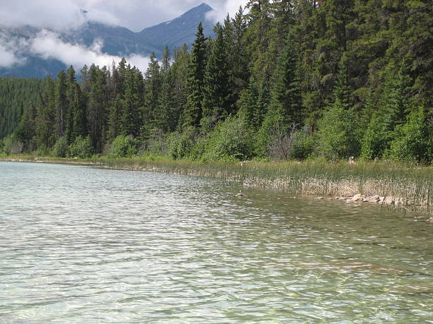 Patricia Lake, Jasper National Park stock photo