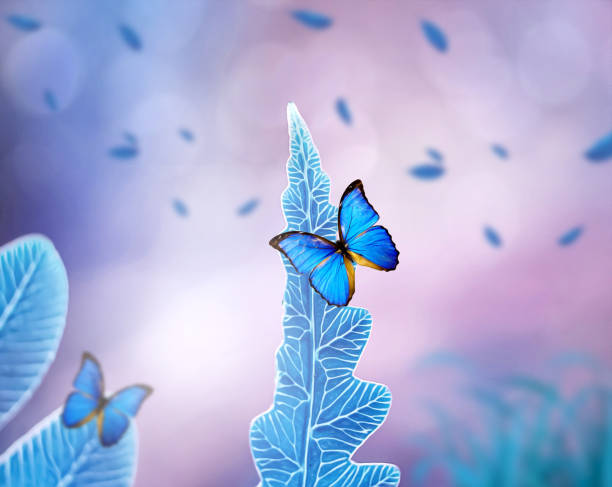 istock Macro Art - Blue Butterfly in Fairy Forest 1404011004