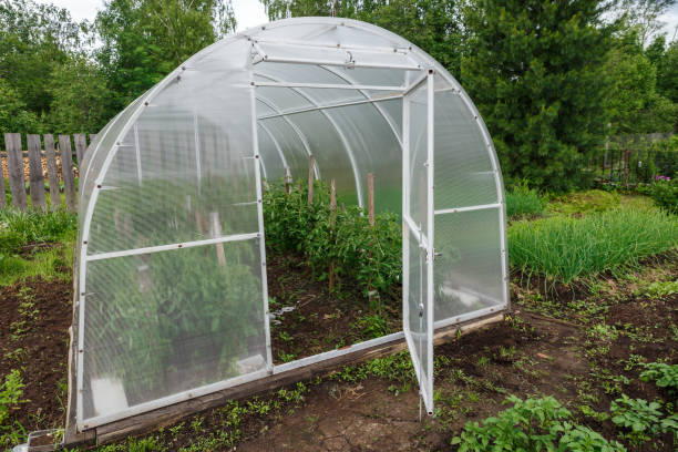 istock greenhouse in the garden 1404011485