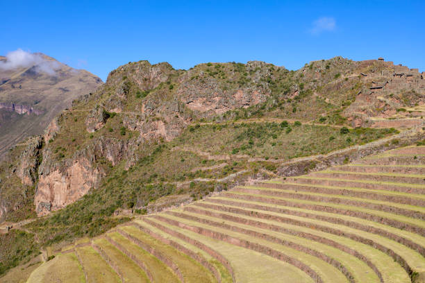 istock Nice view of the Pisac ruins in Cusco. 1404012508