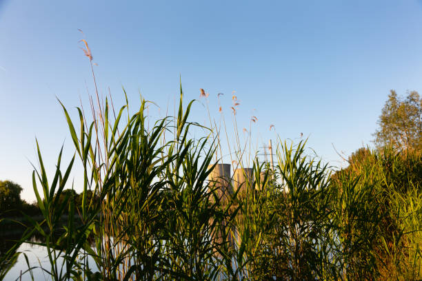 istock Nature reserve and power plant close together 1404013568