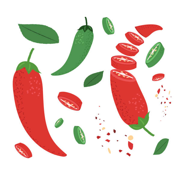 Red and green peppers. Whole chilli, sliced ​​chilli and chilli powder vector illustration set. red bell pepper stock illustrations