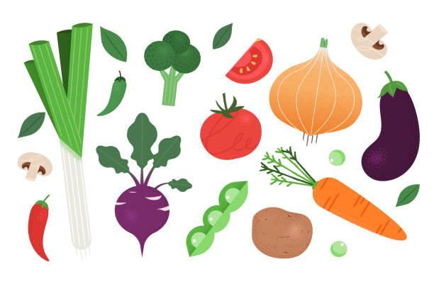 illustrazioni stock, clip art, cartoni animati e icone di tendenza di accogliente illustrazione grafica di varie verdure. - green pea illustrations