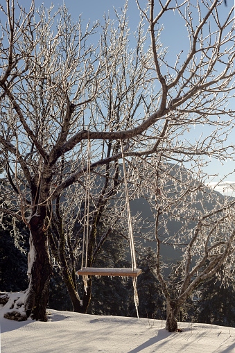 Winter landscape. Homemade swing hanging on an icy tree in the winter at sunset of the day.