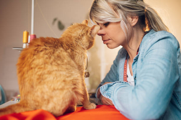 istock Tailor woman sitting and sewing on a sewing machine a in studio with her pet cat 1404015568