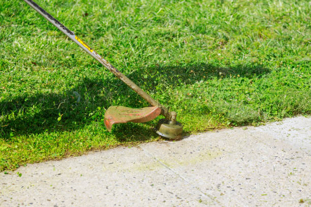 istock Manual petrol string lawn trimmer for mowing lawns 1404017482