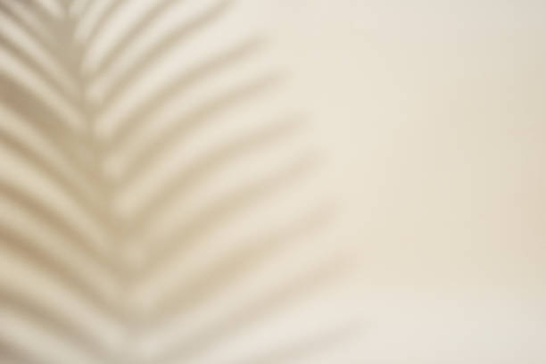 istock Shadow of palm leaf on pastel background 1404017936