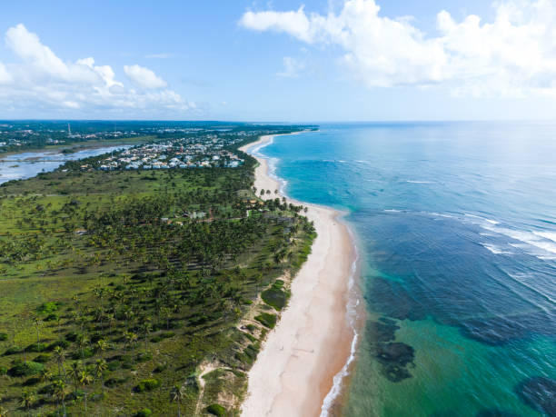 istock panoramic view on brazilian palm tree coast in Bahia 1404019381