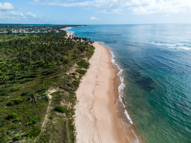 istock panoramic view on brazilian coast in Bahia 1404019432