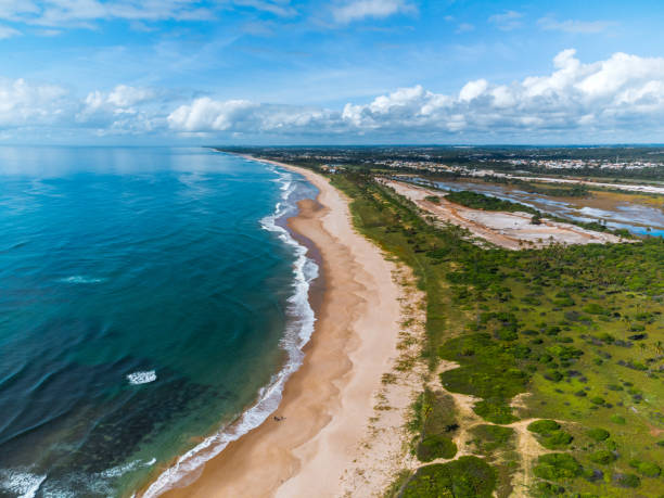 istock panoramic view on brazilian coast in Bahia 1404019513
