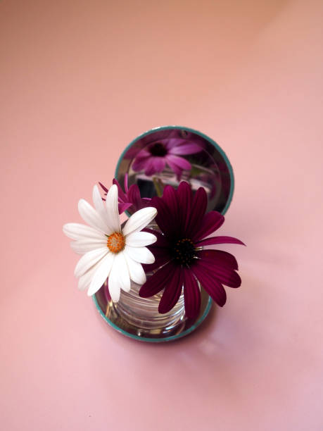 istock Bouquet of daisies and a mirror 1404019532